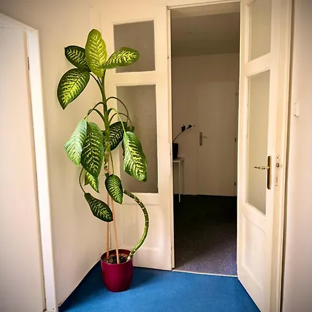 Old Town Center Just In 3 Min Walk Private E